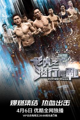 飞虎之潜行极战 2018 电视剧 海报